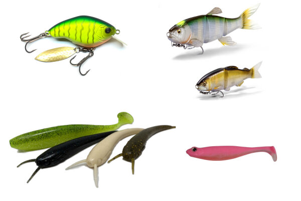Unsere Baits – Die perfekte Köderauswahl für...
