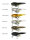 NISHINE LURE WORKS ​BQ Otama