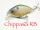 NISHINE LURE WORKS Chippawa RB Silent Crankbait