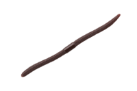 JACKALL FLICK SHAKE 3.8” / ca. 9.5cm
