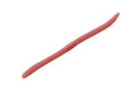 JACKALL FLICK SHAKE 3.8” / ca. 9.5cm 2TONE DOBA MIMIZU