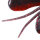 O.S.P. DoLive Beaver Magnum / ca, 17.8cm
