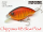 NISHINE LURE WORKS Chippawa RB Slow Float