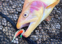 TROUT MASTER WORM / 6.5cm