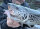 TROUT MASTER WORM / 6.5cm