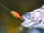 TROUT MASTER INCY Inline Spin Spoon 3gr. Maggot