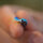 TROUT MASTER INCY Inline Spin Spoon 3gr. Maggot