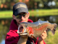 TROUT MASTER SERC Spoon 2.5gr.