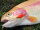 TROUT MASTER SERC Spoon 2.5gr. Clay