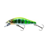 Daiwa Tournament TN Wise Minnow 50FS / 5cm 5.2gr. Chart Back Zebra