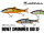 llex/Jackall DOWZ SWIMMER 180 SF / 18cm - 57gr.