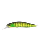 DUO Realis Rozante 63SP Chart Gill Halo