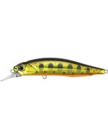 DUO Realis Rozante 63SP Gold Yamame