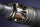 MEGABASS DESTROYER P5 F2.1/2-62X GRAVEL CODE 3.5-14g / 188cm / 1P