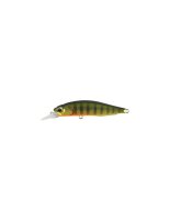 DUO Realis Rozante 77SP Gold Perch