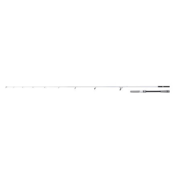 SHIMANO STRADIC SPINNING SEABASS