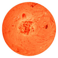 TROUTMASTER Pro Paste Forellenteig / 60g CHEESE-FLUO ORANGE GLITTER