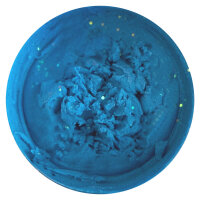 TROUTMASTER Pro Paste Forellenteig / 60g GARLIC-FLUO BLUE