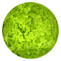 TROUTMASTER Pro Paste Forellenteig / 60g GARLIC-NEON GREEN GLITTER