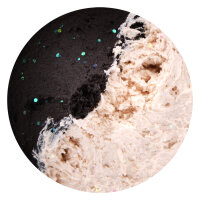 TROUTMASTER Pro Paste Forellenteig / 60g GARLIC-WHITE / BLACK