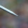 TROUTMASTER Spike Bankstick