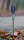 TROUTMASTER Spike Bankstick