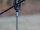 TROUTMASTER Spike Bankstick 55-90cm