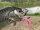 TROUTMASTER Tungsten Micro Jigs #4 / 0.5gr. / Glow (UV)