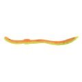 SPRO FreeStyle Twitch Worm Orange