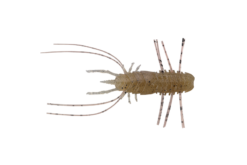 JACKALL WAMWAM FLARE 48 / ca.4.8cm GASAGASA SUZIEBI