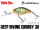 llex/Jackall Deep Diving Chubby 38