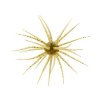 HIDEUP Coike 17mm #102 Water Melon Seed