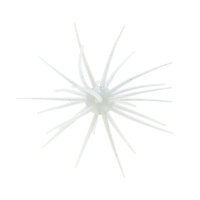 HIDEUP Coike 17mm #141 Tamaranbai Blue