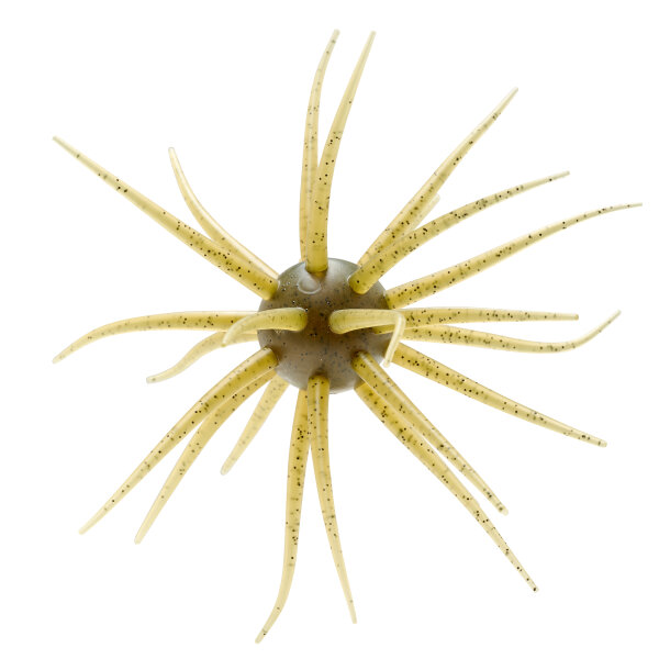 HIDEUP Coike Fullcast #102 Water Melon Seed