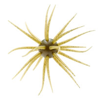 HIDEUP Coike Fullcast #102 Water Melon Seed