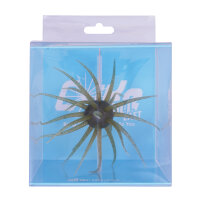 HIDEUP Coike Fullcast #102 Water Melon Seed