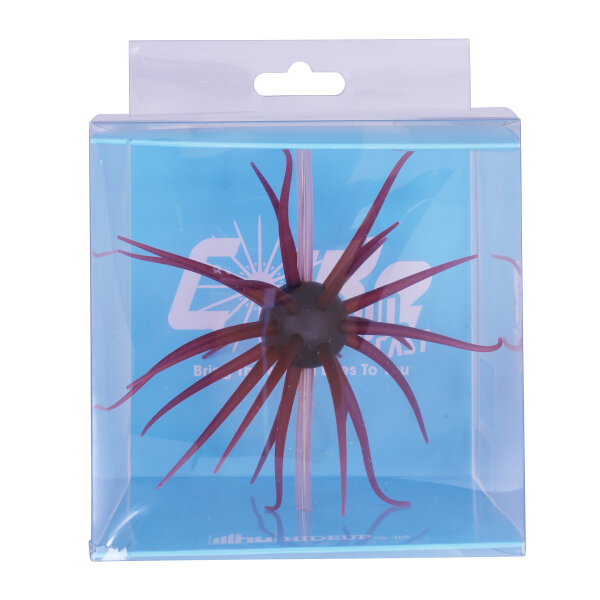 HIDEUP Coike Fullcast #108 Scuppernong