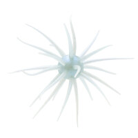 HIDEUP Coike Fullcast #141 Tamaranbai Blue