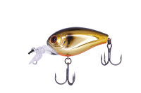 HIDEUP HU-70 SDA #12 Kinkuro/Black Gold4560192412747