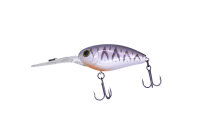 HIDEUP HU-300 #35 White Tiger