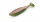Nays Predator PRDTR Softbait