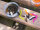TROUT MASTER DENDROBAENA 60 / 6cm