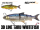 Savage Gear 3D Line Thru Whitefish