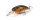 DUO Realis Crank M65 8A