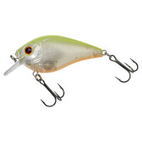 GUNKI KRAKEN 65 F CHART BACK