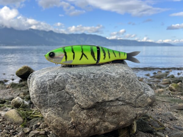 STUDIO COMPOSITE VOLTA 375 Swimbait