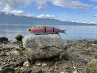 STUDIO COMPOSITE VOLTA T3 330 Swimbait