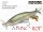 NISHINE LURE WORKS ABINO 110F