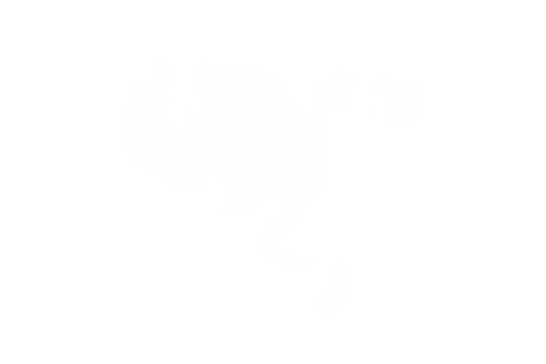 DAIWA 26 RYOGA SV 100 L