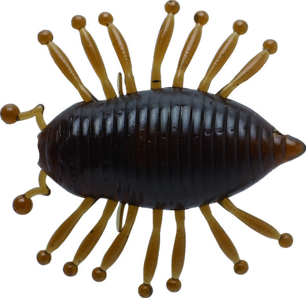ILLEX MAGIC WOODLOUSE 1.18" / 3cm CHERRY COKE
